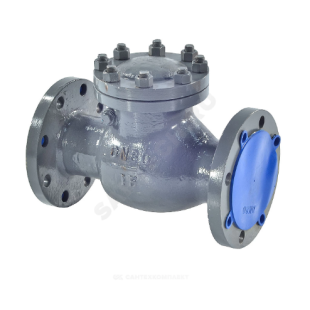 Клапан обратный 19с76нж Ду80 Ру16
