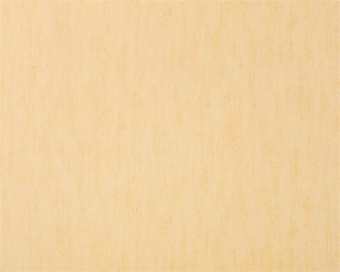 908-06 (9) ВВ ГТ ФО Версаль