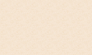 30072-25 (6) ВВ ФО AS Палитра