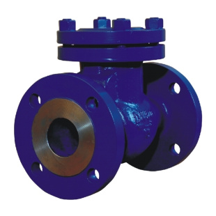 Клапан обратный 19с19нж Ду80 Ру160