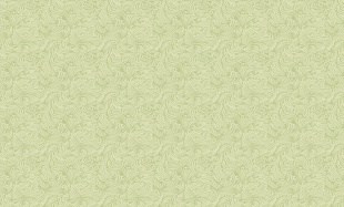 30072-47 (6) ВВ ФО AS Палитра (ОСТАТОК 1РУЛОН)